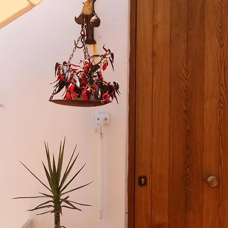 Domus Alba Tatil Evi